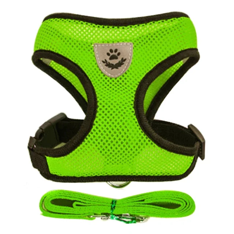 Adjustable Mesh Cat & Dog Harness Vest with Leash – Breathable, Comfy & Secure for Small & Medium Pet