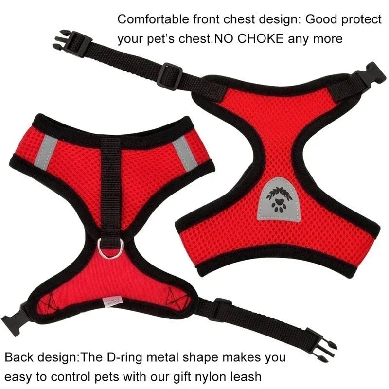 Adjustable Mesh Cat & Dog Harness Vest with Leash – Breathable, Comfy & Secure for Small & Medium Pet
