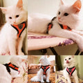 Adjustable Mesh Cat & Dog Harness Vest with Leash – Breathable, Comfy & Secure for Small & Medium Pet