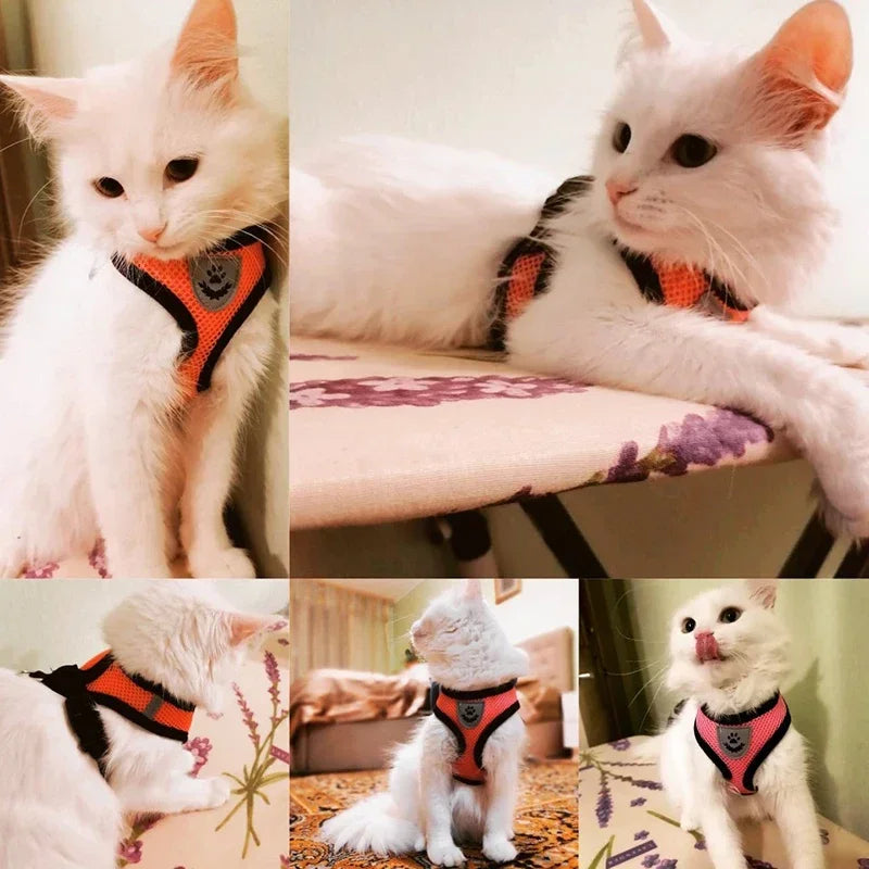 Adjustable Mesh Cat & Dog Harness Vest with Leash – Breathable, Comfy & Secure for Small & Medium Pet