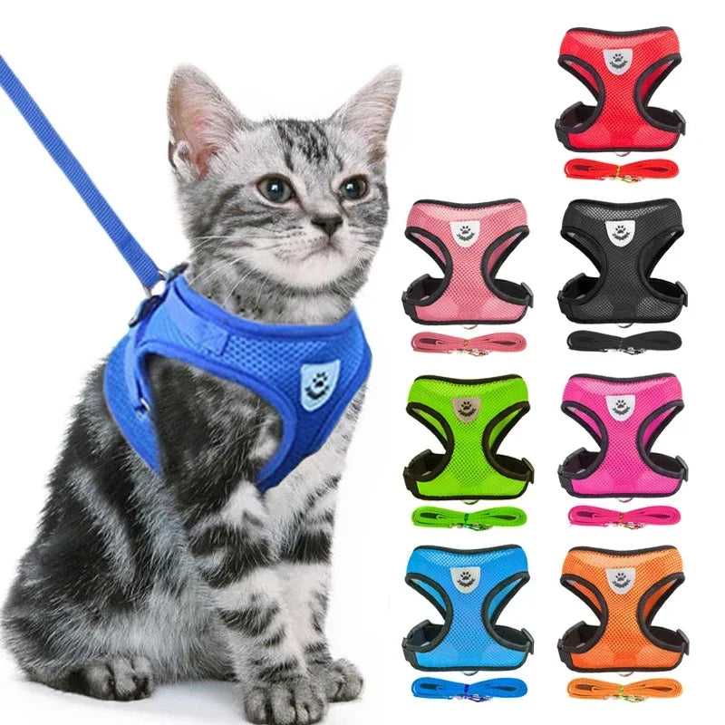 Adjustable Mesh Cat & Dog Harness Vest with Leash – Breathable, Comfy & Secure for Small & Medium Pet