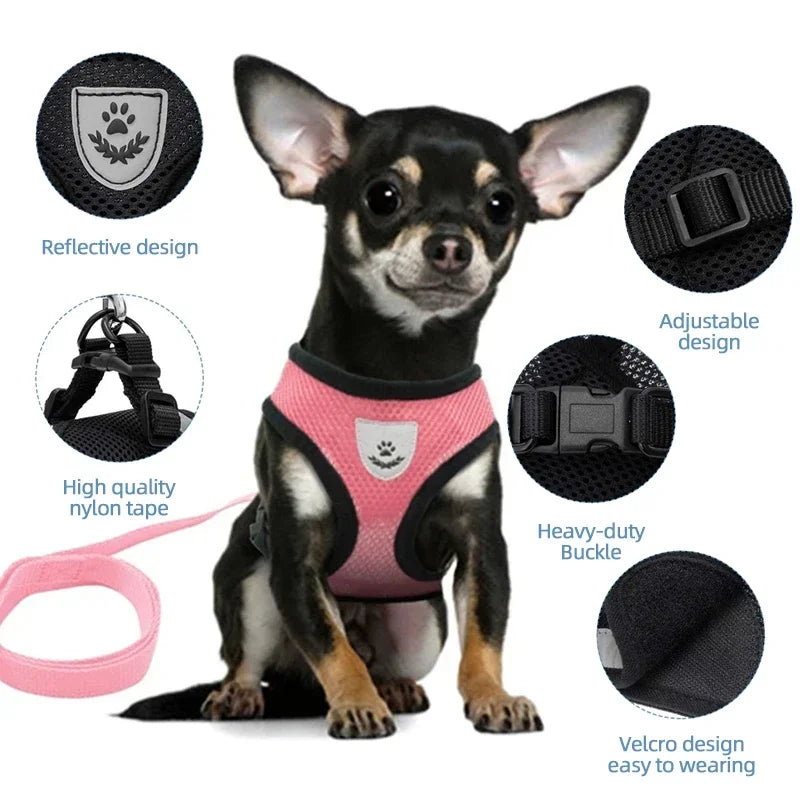 Adjustable Mesh Cat & Dog Harness Vest with Leash – Breathable, Comfy & Secure for Small & Medium Pet