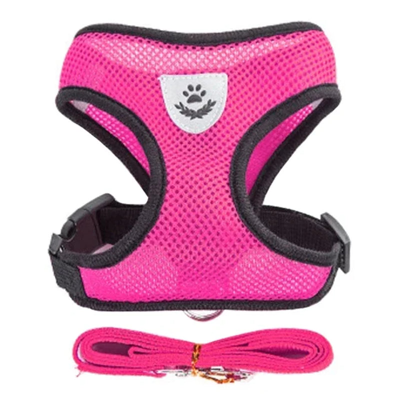 Adjustable Mesh Cat & Dog Harness Vest with Leash – Breathable, Comfy & Secure for Small & Medium Pet