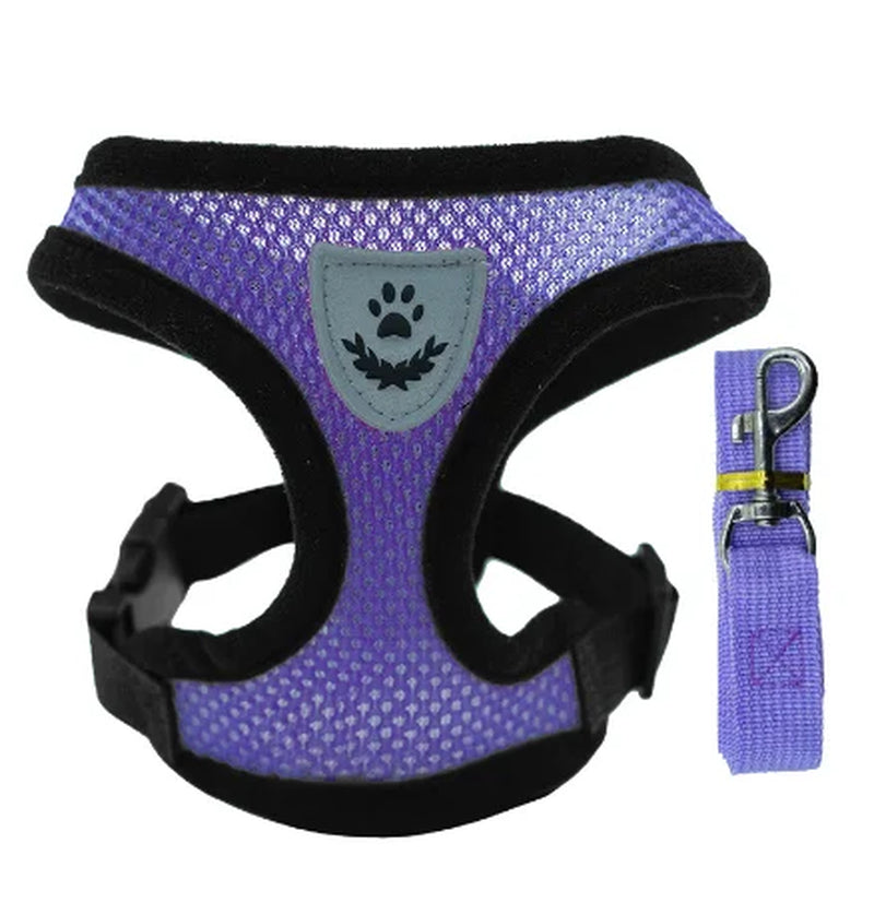 Adjustable Mesh Cat & Dog Harness Vest with Leash – Breathable, Comfy & Secure for Small & Medium Pet